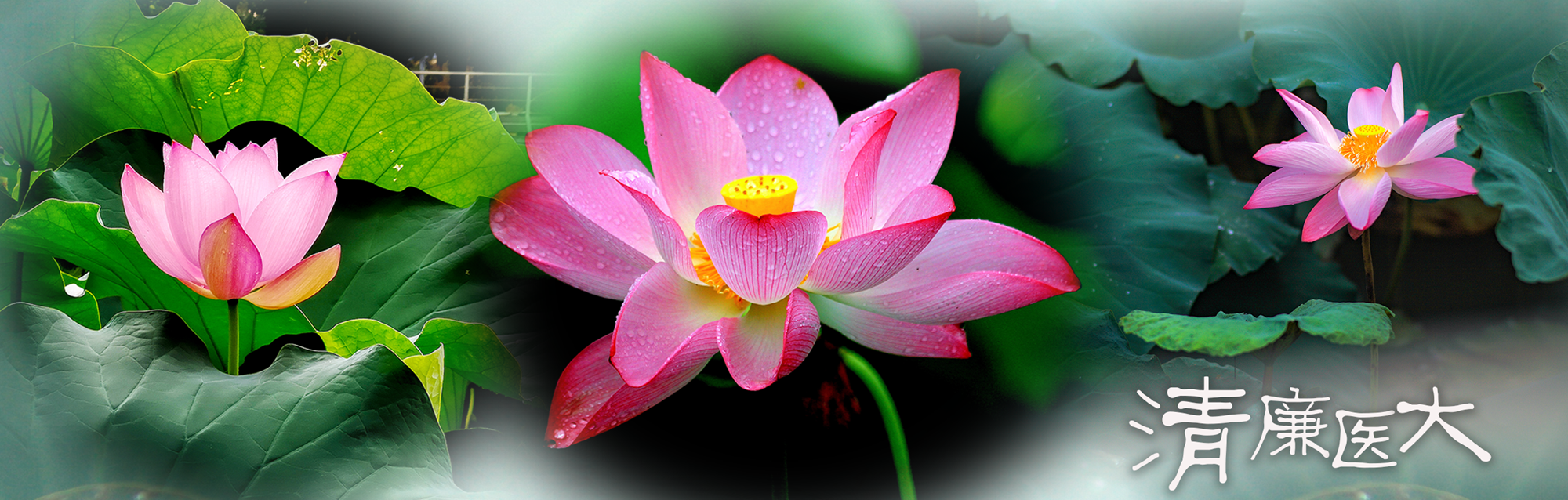 英国上市公司365